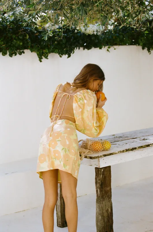 Backless Zhuri Dress sold by Sabo Skirt