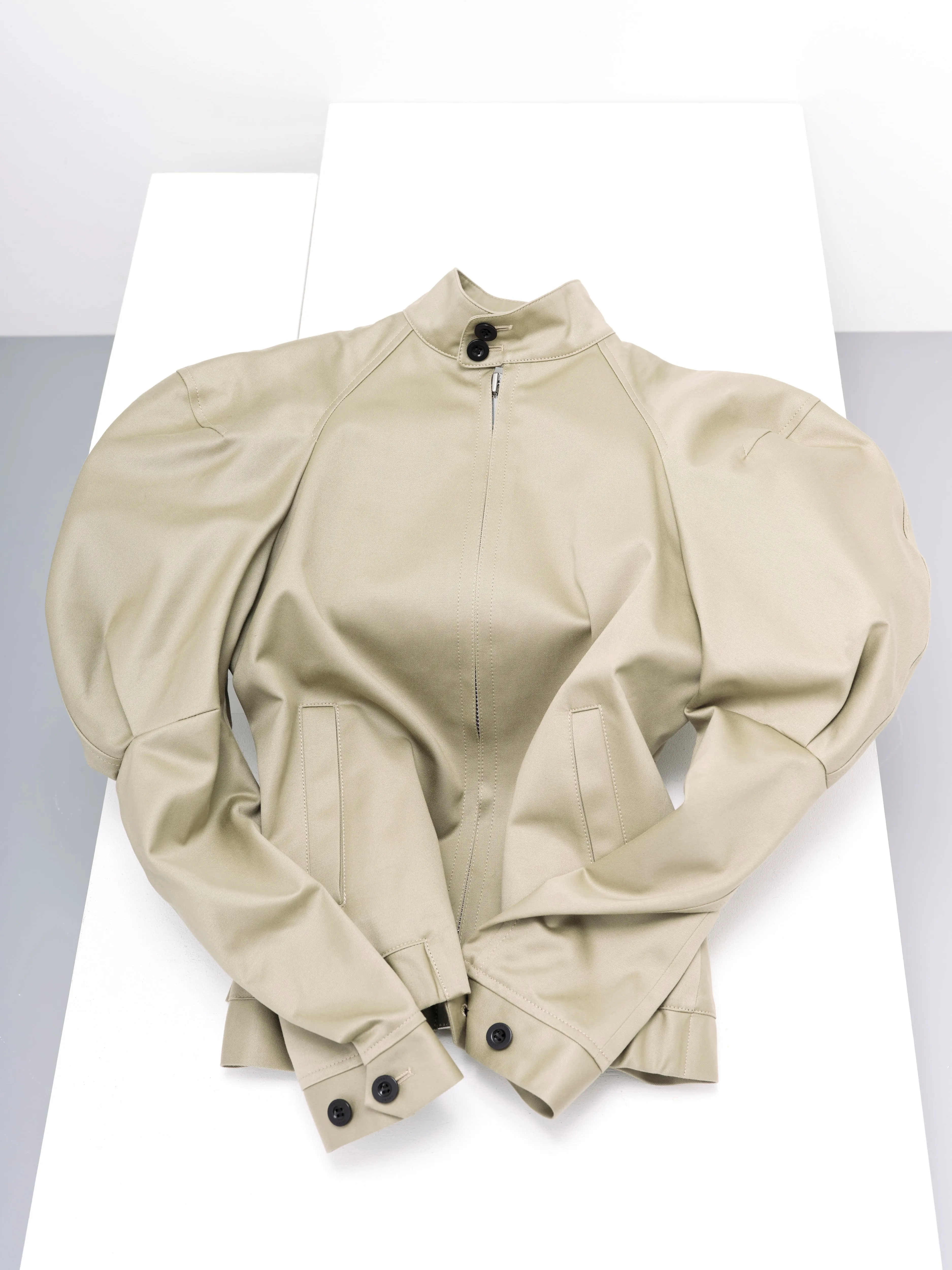 Cotton Chino Jacket sold by Sacai