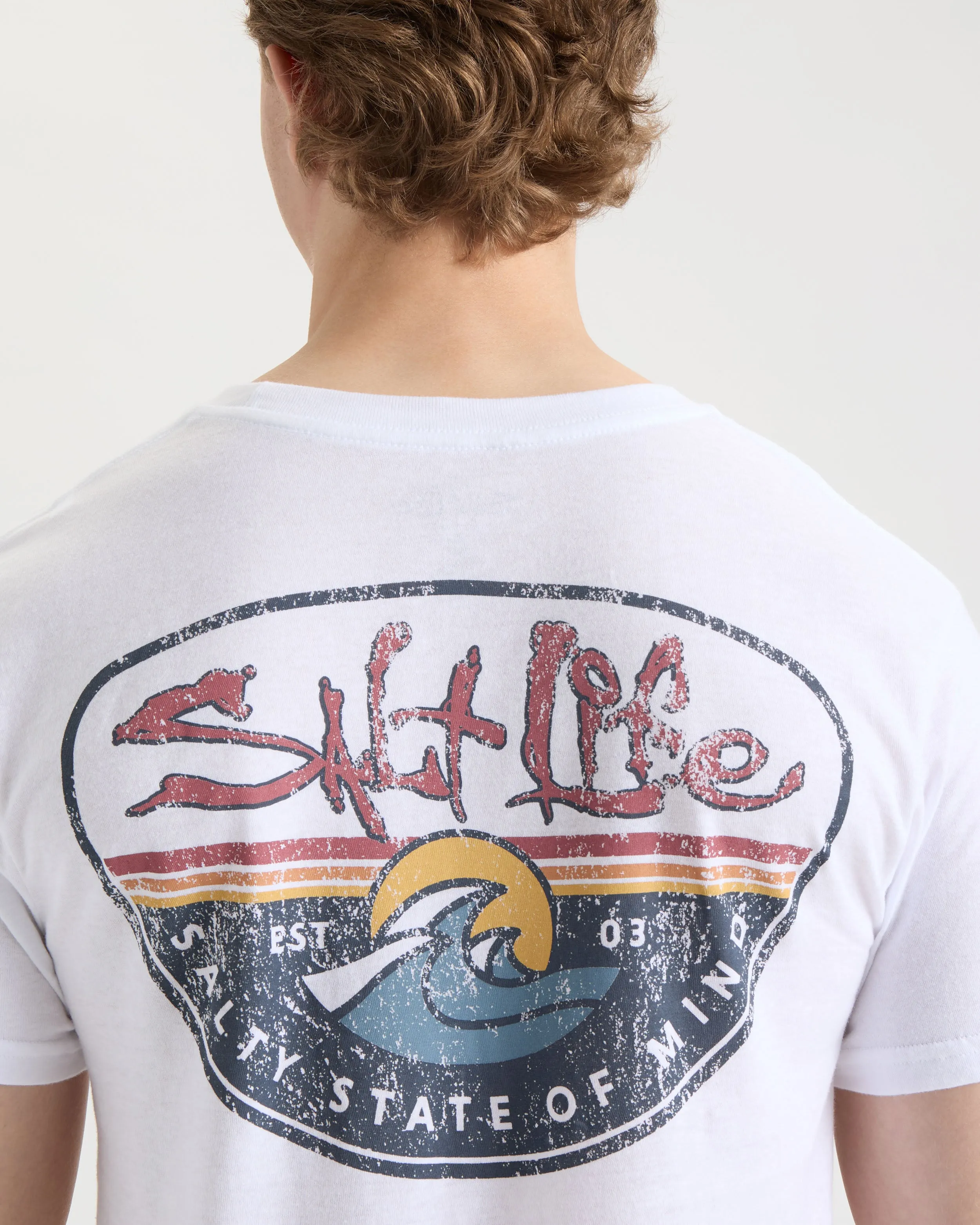 Men's Daily Wave Short Sleeve Tee sold by Salt Life product image thumbnail 4