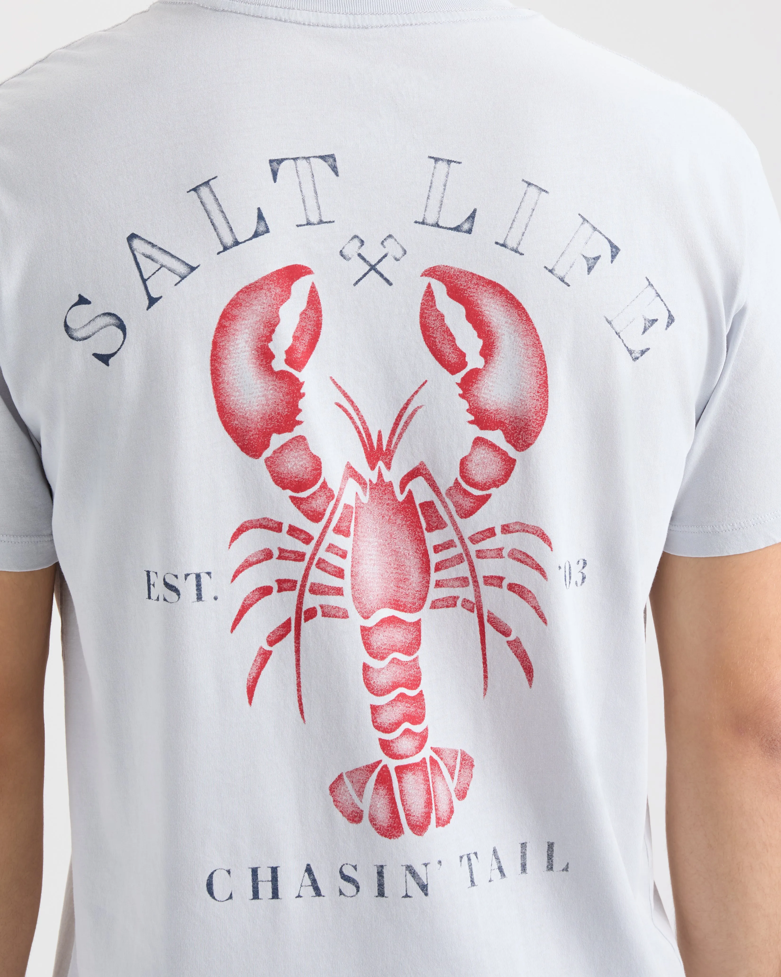 Men’s Lobster Chasin' Short Sleeve Tee sold by Salt Life product image thumbnail 5
