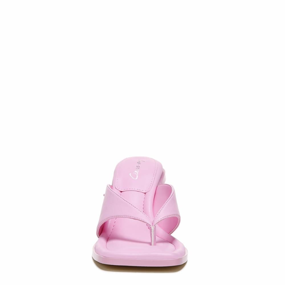 Circus by Sam FRANCES PINK HIBISCUS/SUPERSOFTNAPPA sold by Sam Edelman product image thumbnail 2