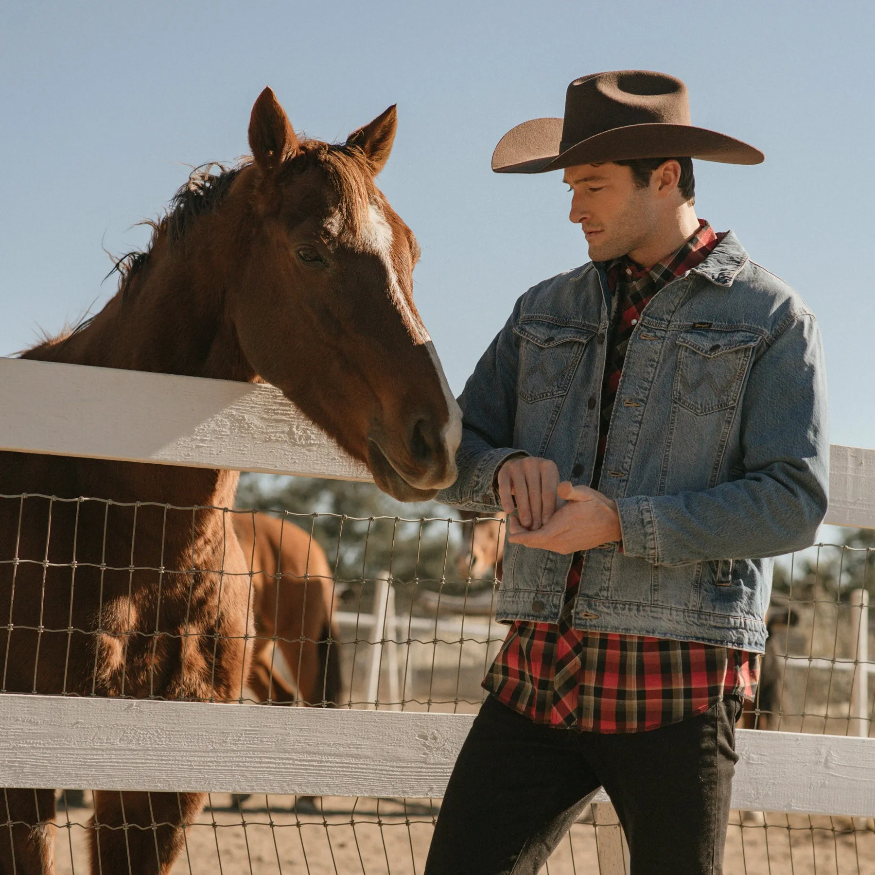 The Made in Mexico - Stiff Wool Felt Cowboy by Wrangler sold by San Diego Hat Company product image thumbnail 2
