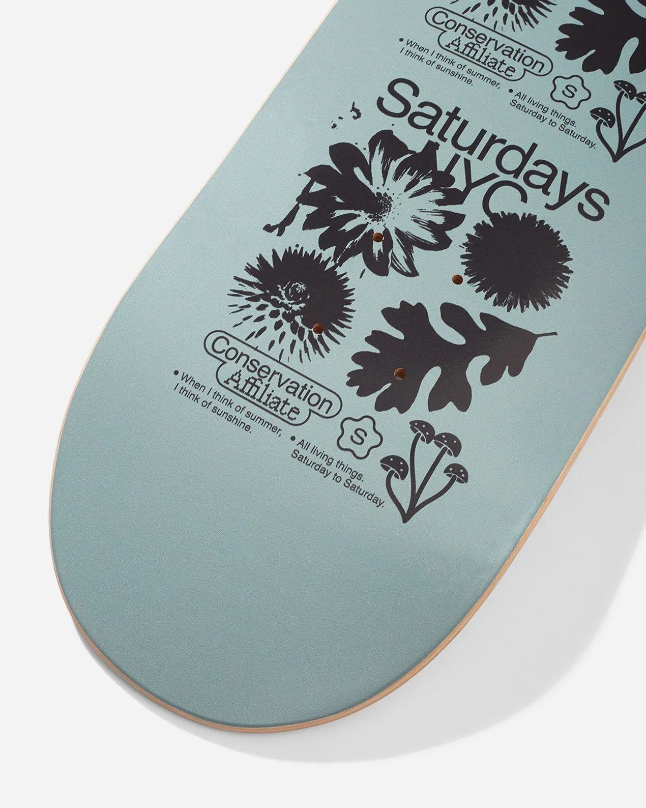 Saturdays Conservatory Skate Deck sold by Saturdays New York City product image thumbnail 4