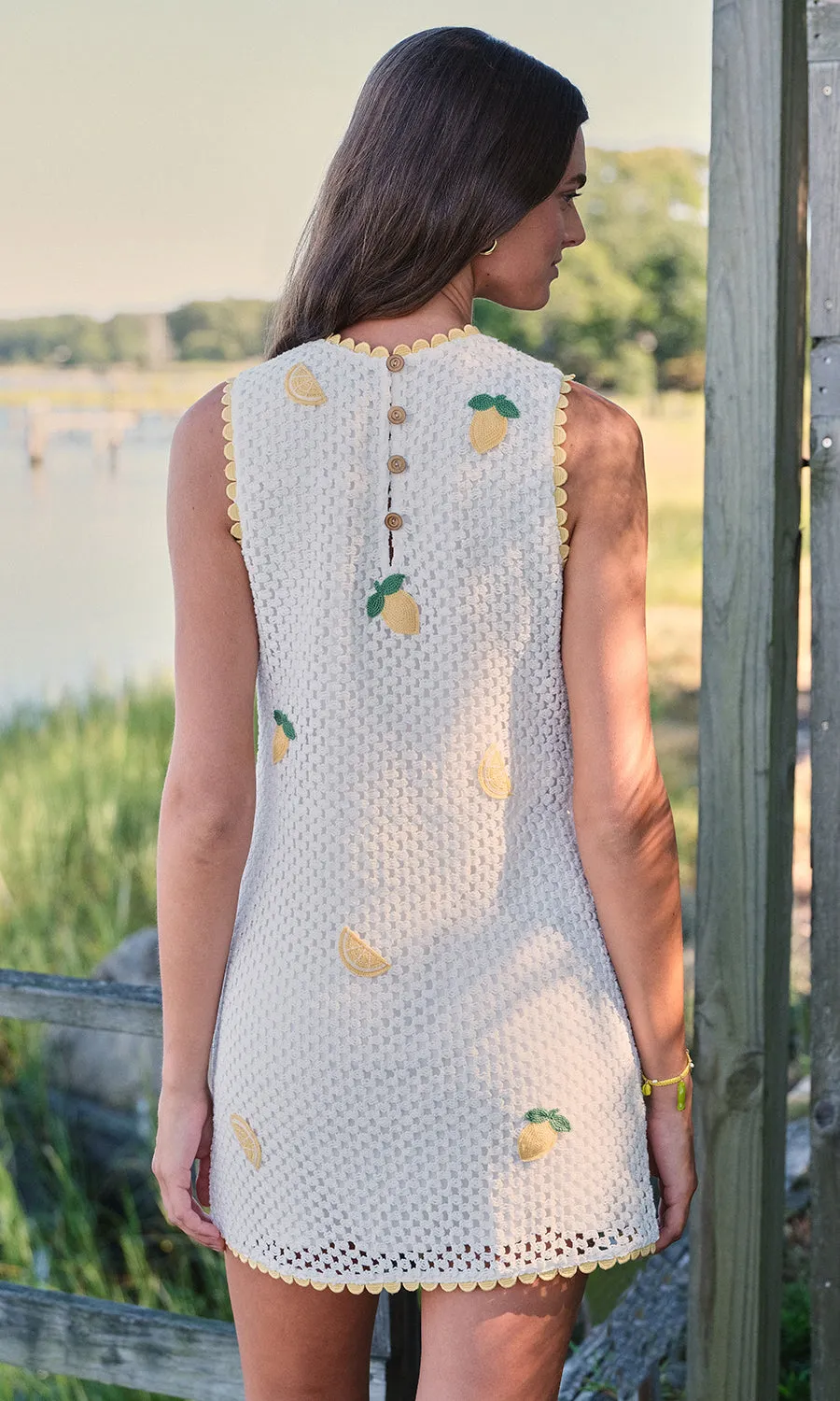 Wynn Dress sold by SAYLOR product image thumbnail 4