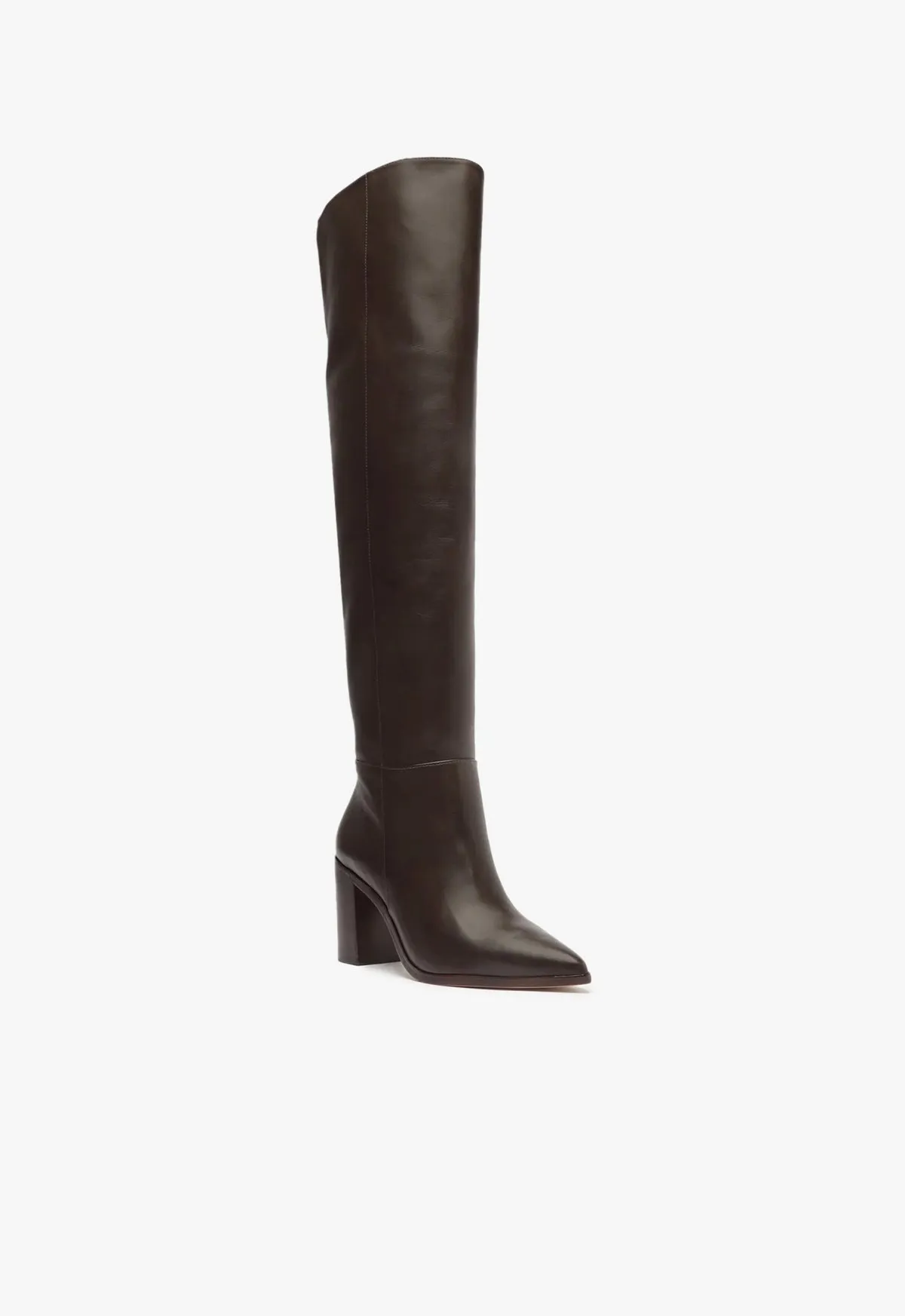 Magali Block Over the Knee Leather Boot sold by SCHUTZ product image thumbnail 2