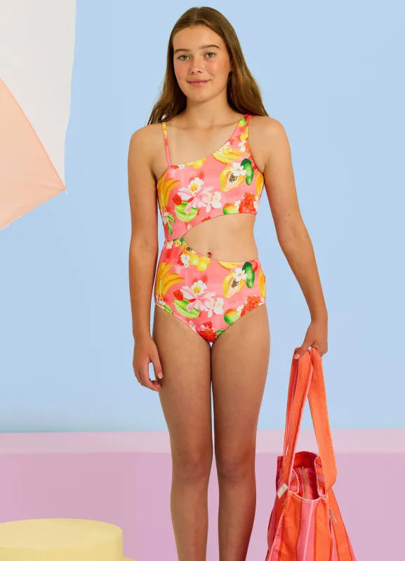 Tropique One Piece  - Tropique sold by Seafolly