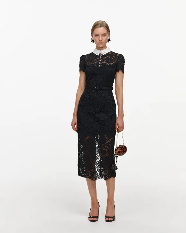 Black Lace Contrast Collar Midi Dress made by Self-Portrait