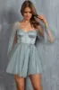 Fairytale Dream Sheer Sleeve Mini Dress Sage sold by Selfie Leslie