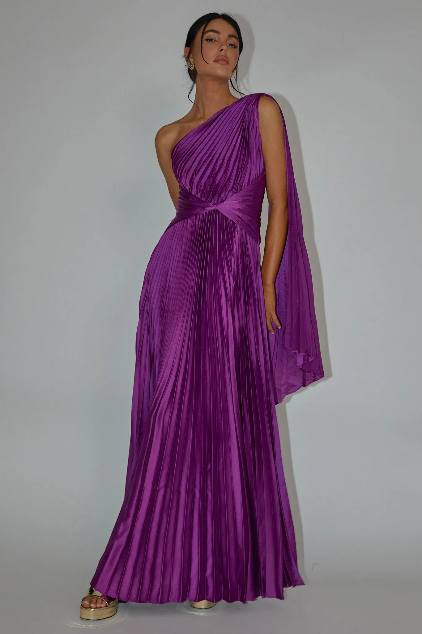 Laxmi Accordion Pleat Maxi Dress Purple | Parallel