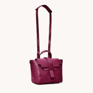 Perfectly Repacked | Mini Maestra | Dolce sold by Senreve