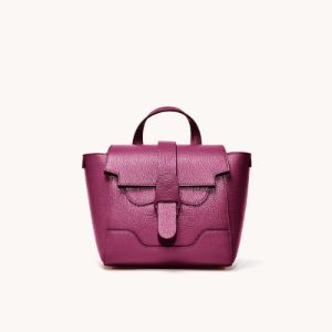 Perfectly Repacked | Mini Maestra | Dolce sold by Senreve