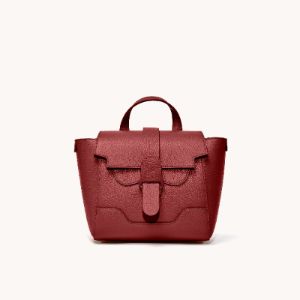 Perfectly Repacked | Mini Maestra | Dolce sold by Senreve