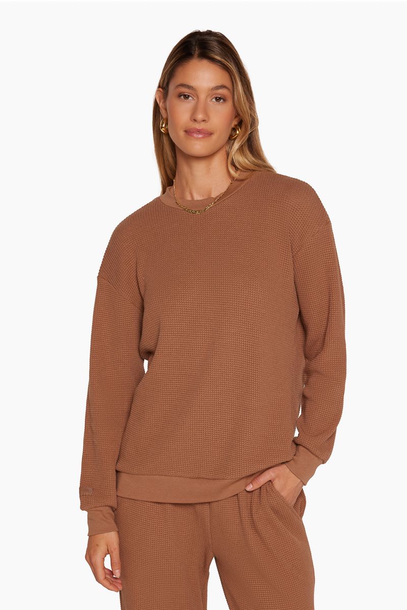 LOUNGE CREWNECK - FOXY sold by SETactive product image thumbnail 2