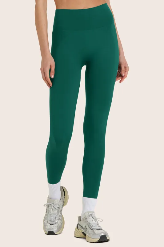 SCULPTFLEX® POWER LEGGINGS - MOJITO sold by SETactive
