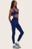 SPORTBODY® (BLOOPERS) SPORTY PIPE LEGGINGS - GECKO sold by SETactive