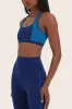 SPORTBODY® SPORTY SEAM BRA - GECKO sold by SETactive