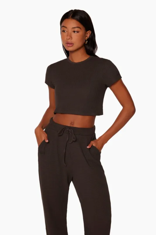 LOUNGE BABY TEE - ESPRESSO sold by SETactive