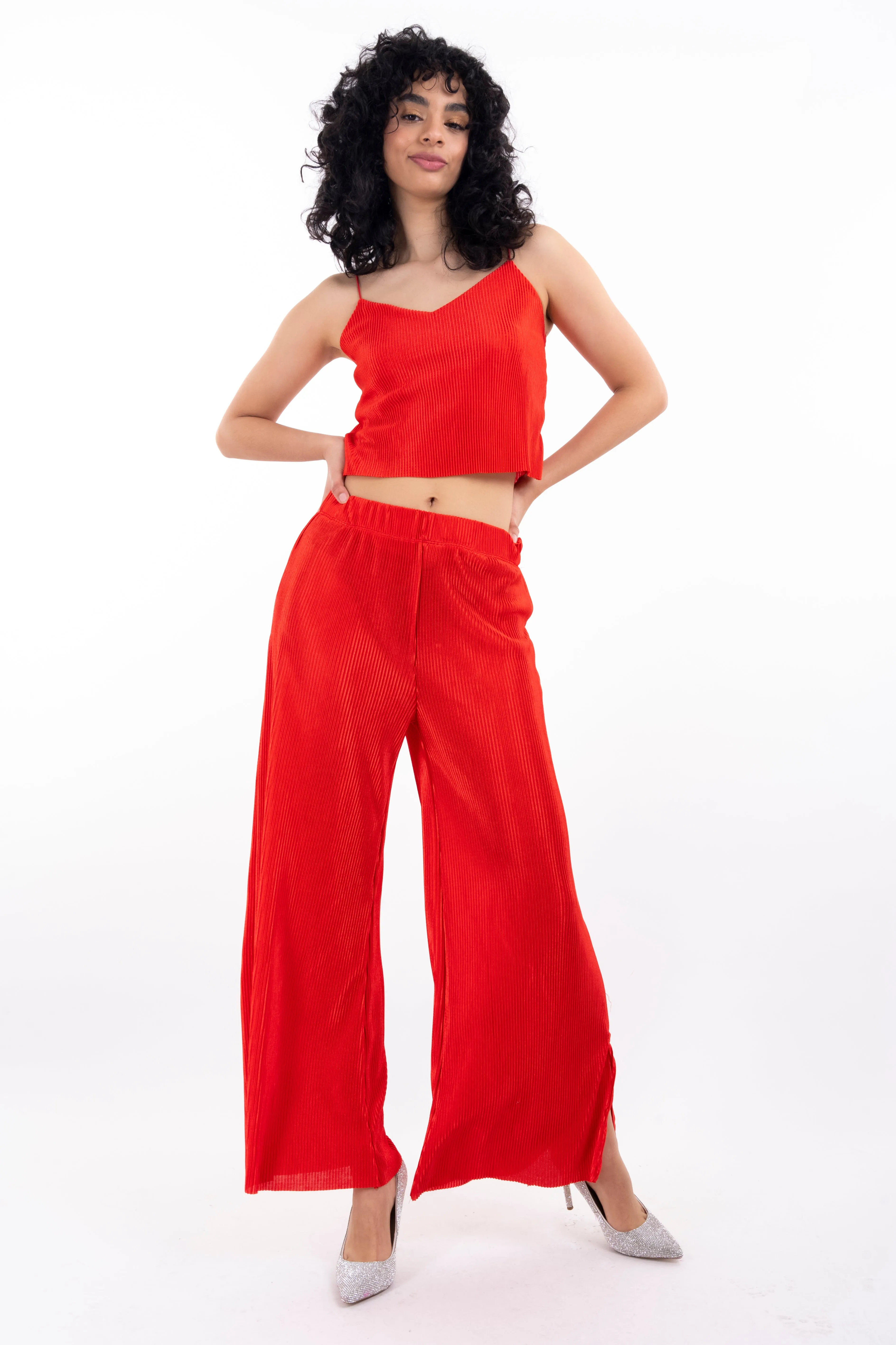 Pantalón plisado wide leg sold by Shasa product image thumbnail 2