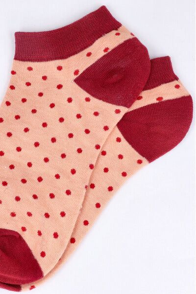 Tin puntos color sold by Shasa