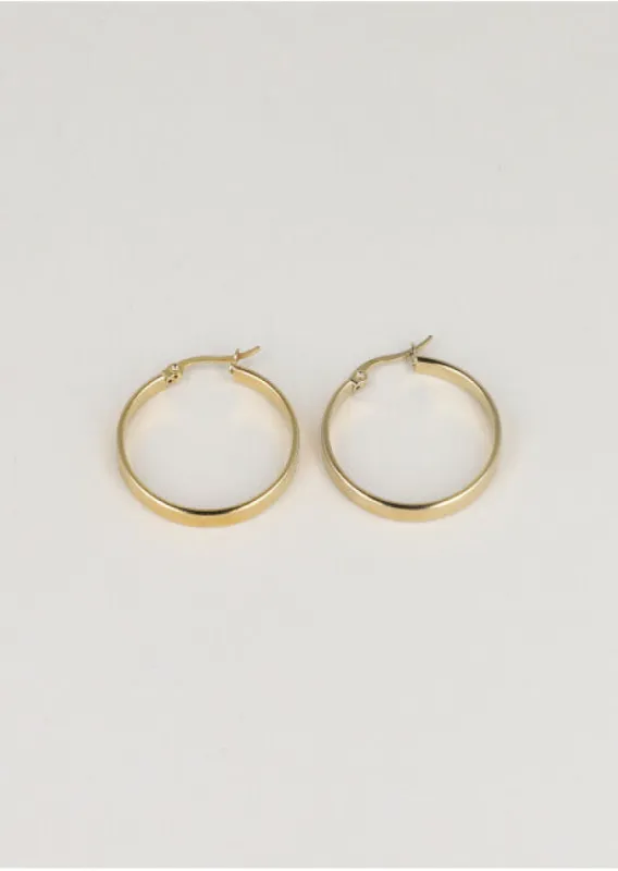 Arracadas Planas Acero sold by Shasa