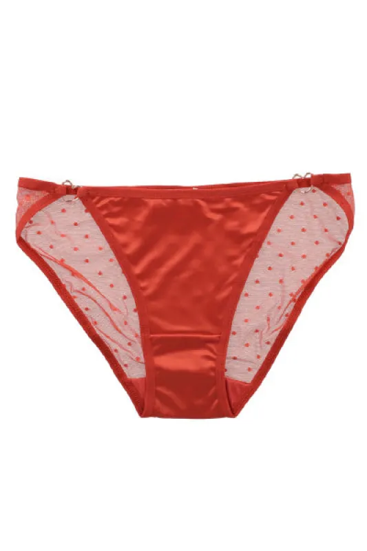Bikini Satin Mesh Mini Polkas Hebilla sold by Shasa