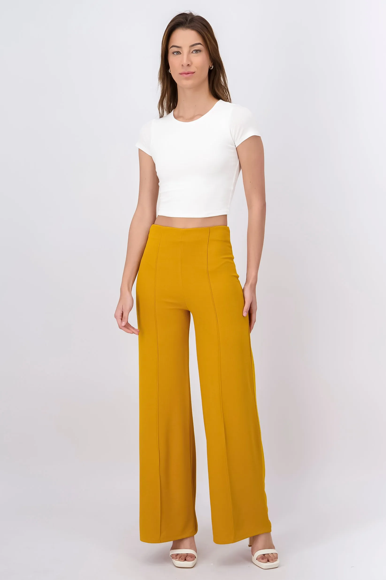 Pantalón Wide Leg Cintura Alta Costuras sold by Shasa