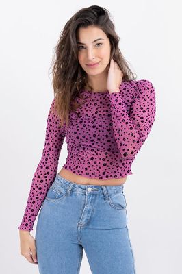 Top crop flores flock sold by Shasa