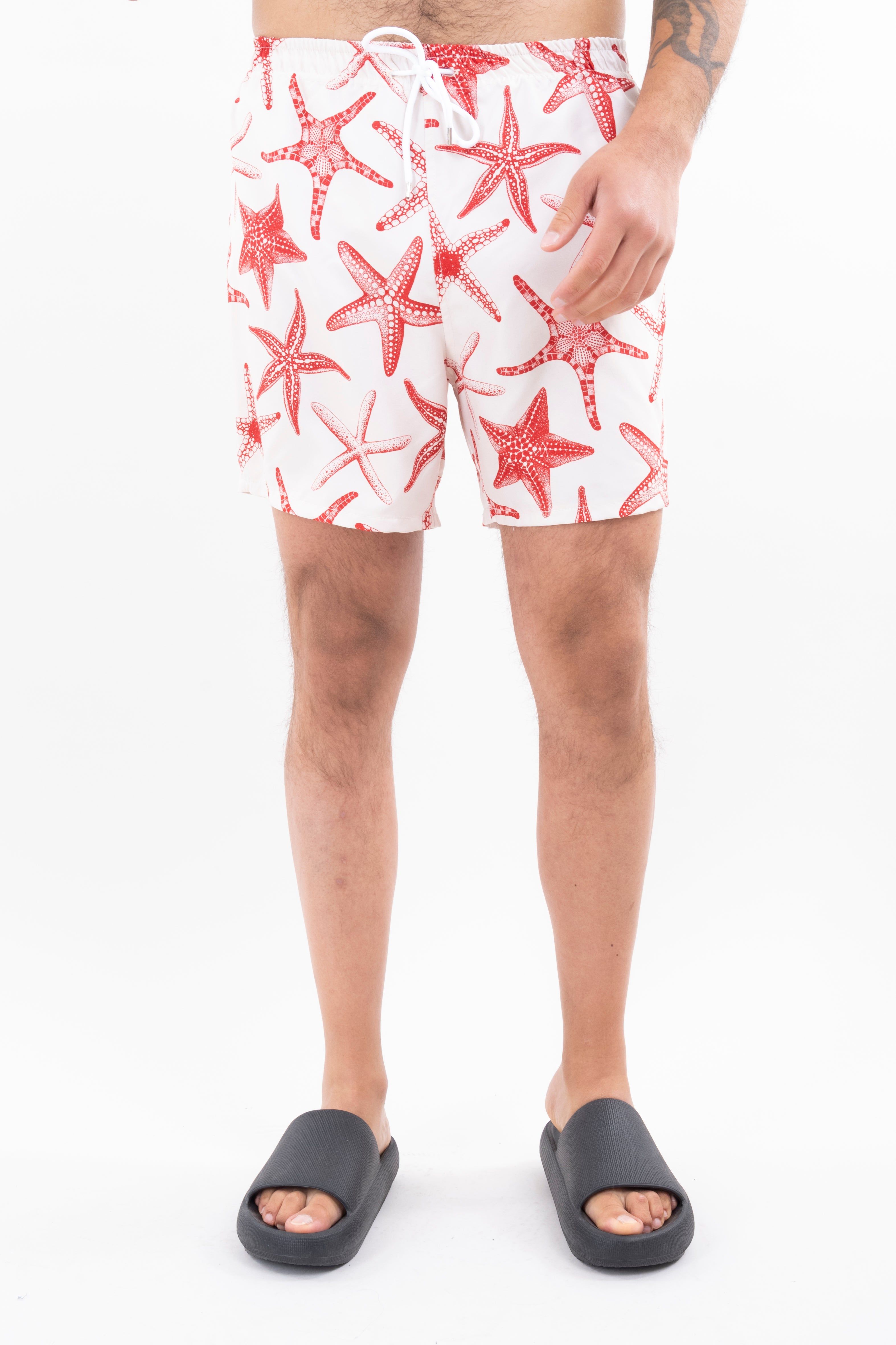 Traje de baño estrellas mar sold by Shasa product image thumbnail 4