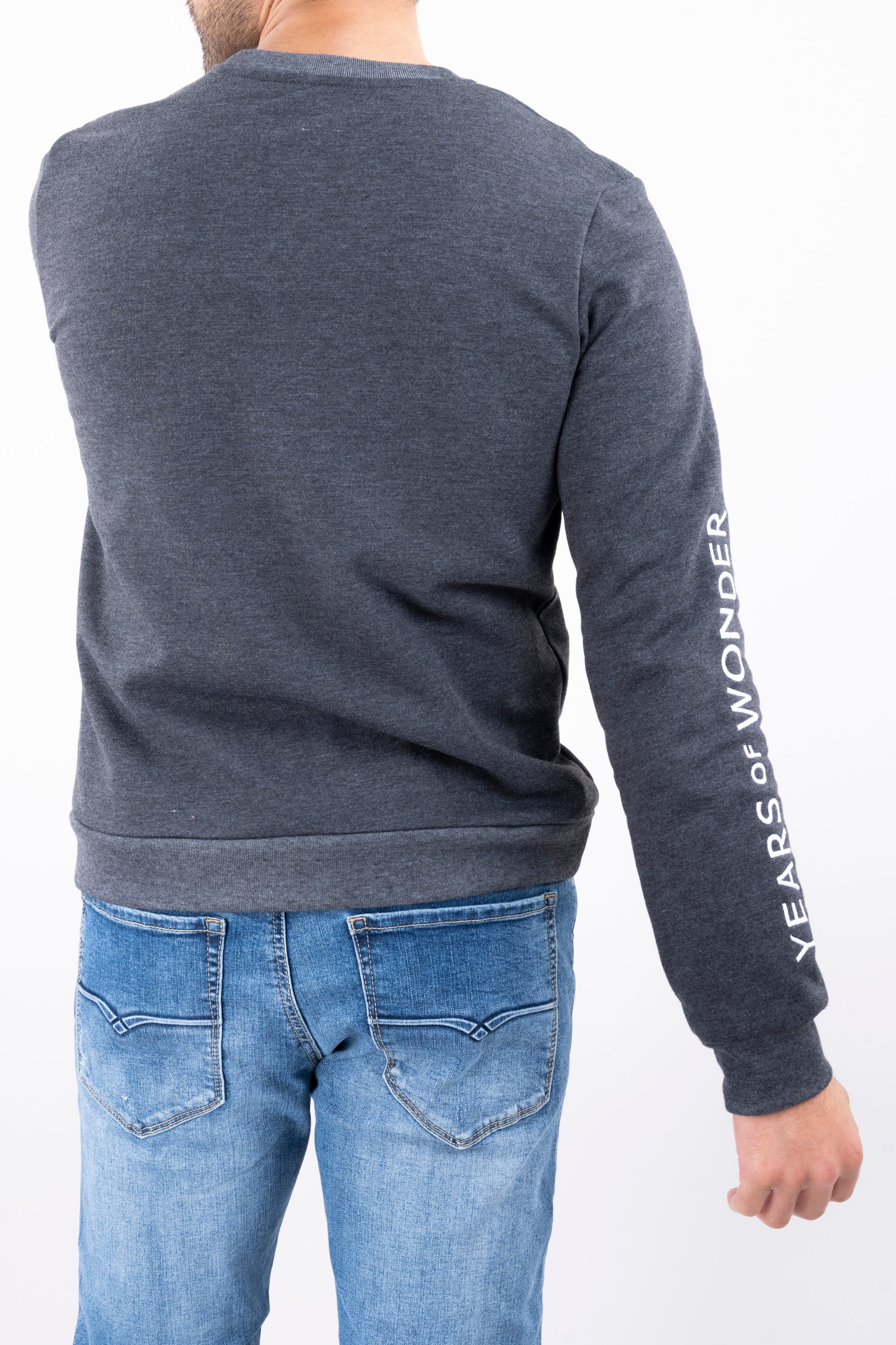 Sudadera estampado Disney sold by Shasa product image thumbnail 3