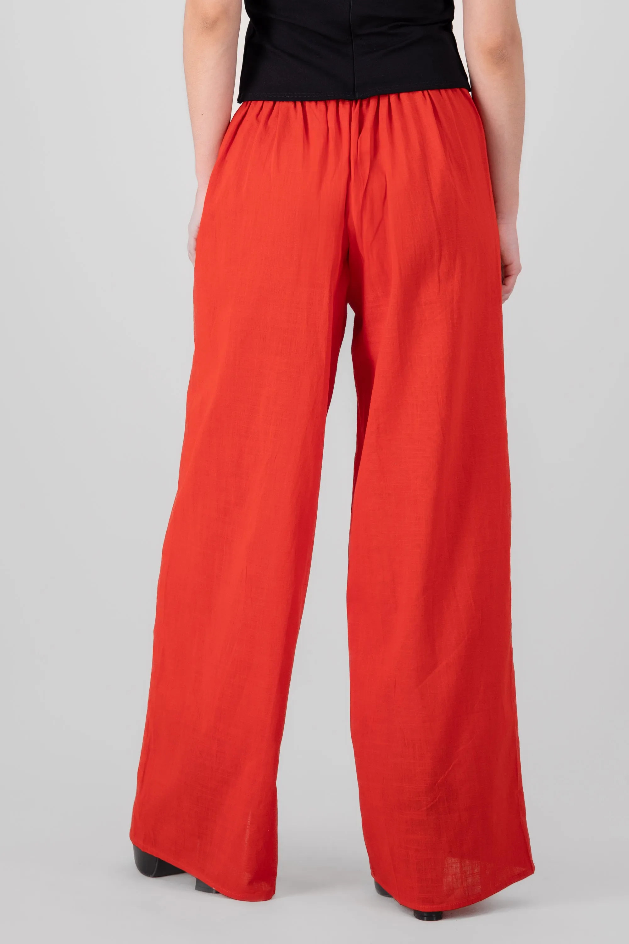 Pantalon liso pinzas sold by Shasa product image thumbnail 4