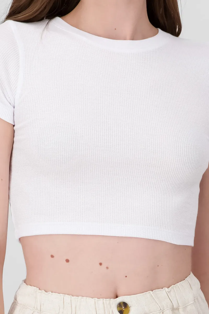 Top manga corta rib sold by Shasa product image thumbnail 5