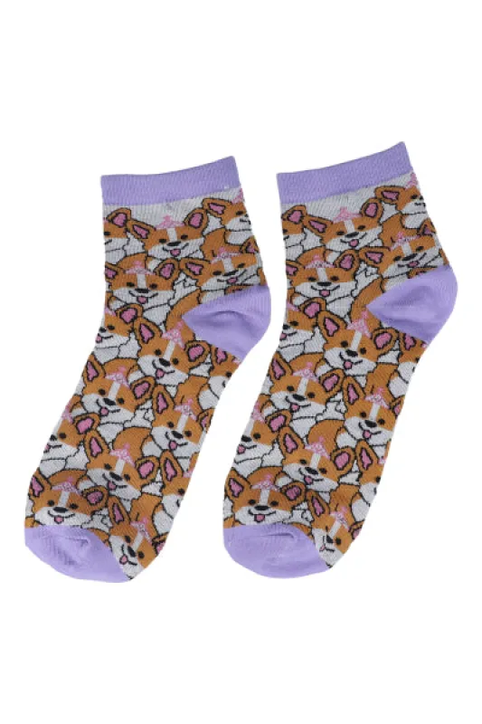 Calcetines corgi corona sold by Shasa