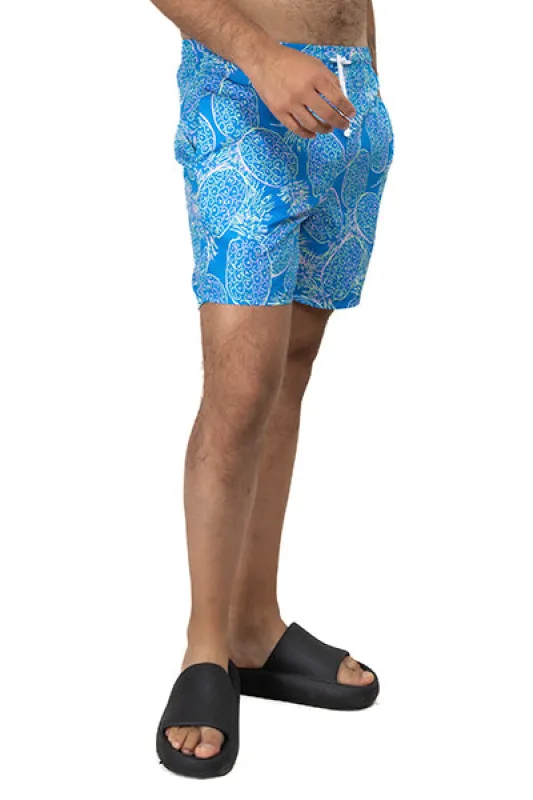 Traje de baño siluetas piña sold by Shasa