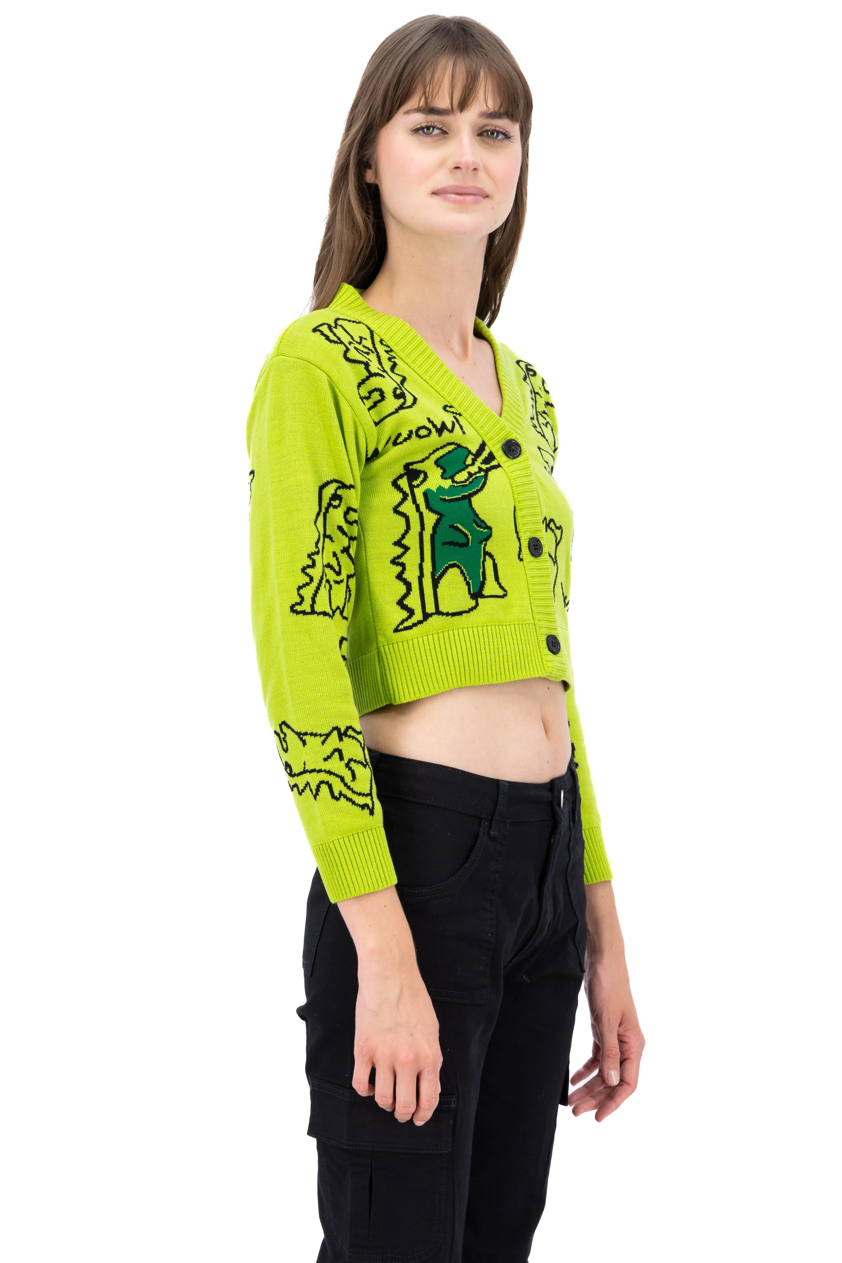 Sueter Botones Dinosaurios sold by Shasa product image thumbnail 3