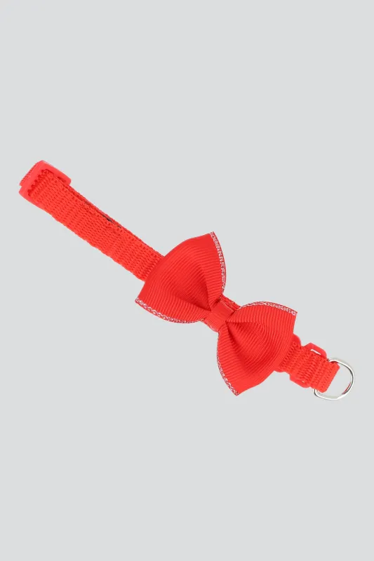 Collar para mascota sold by Shasa