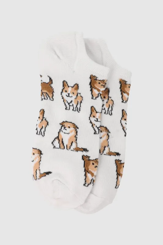 Tin de perritos color cfaé sold by Shasa