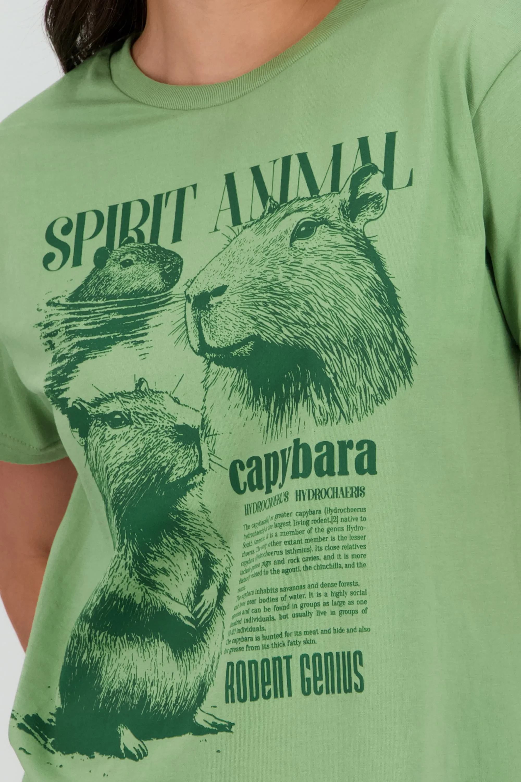 Playera manga corta estampado capibara sold by Shasa product image thumbnail 5