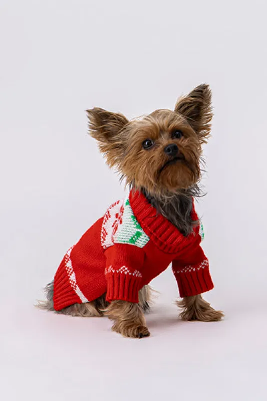 Suéter Tejido Noche Buena Mascota Chico sold by Shasa