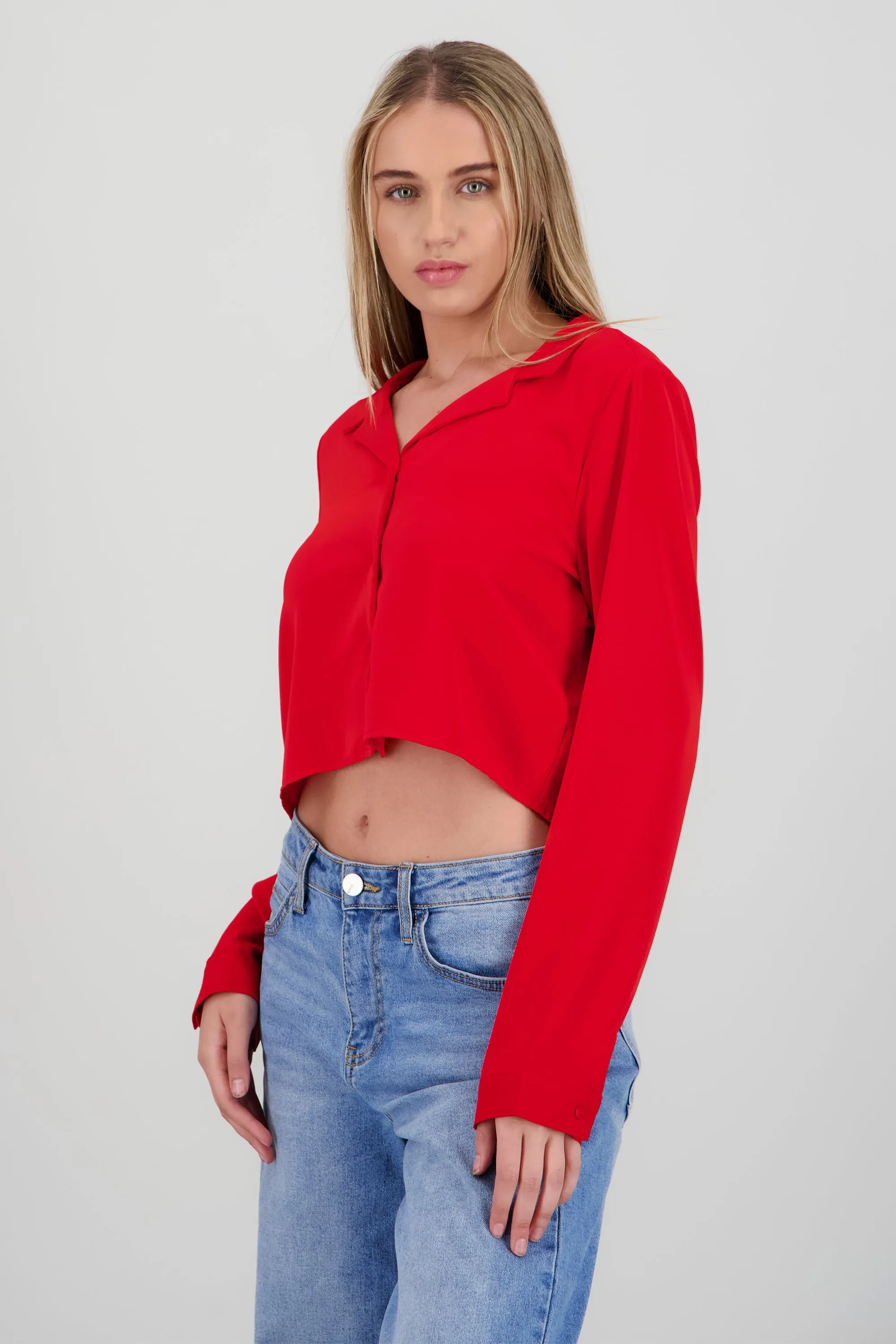 Camisa lisa manga larga sold by Shasa