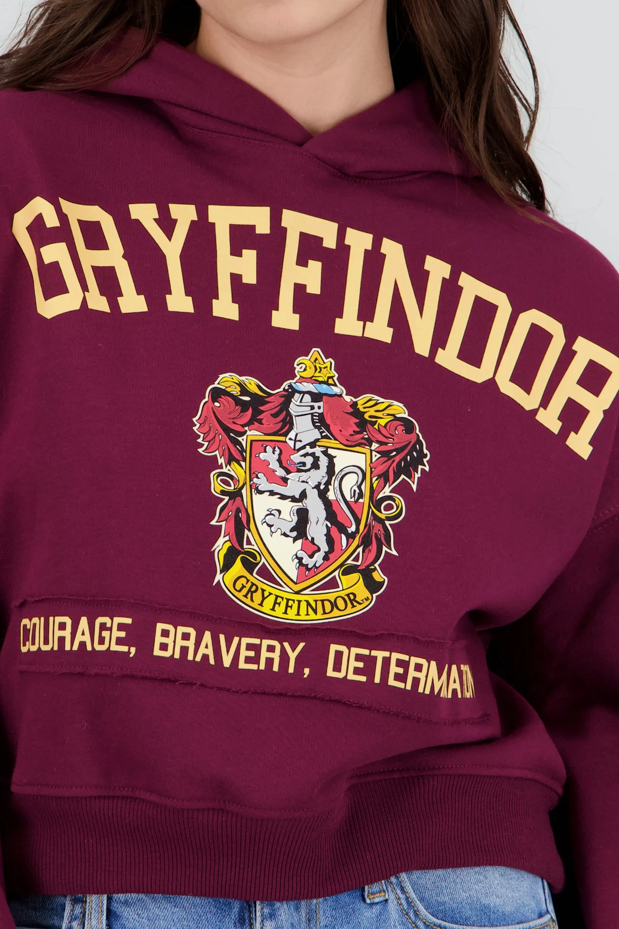 Sudadera Gryffindor gorro sold by Shasa product image thumbnail 5