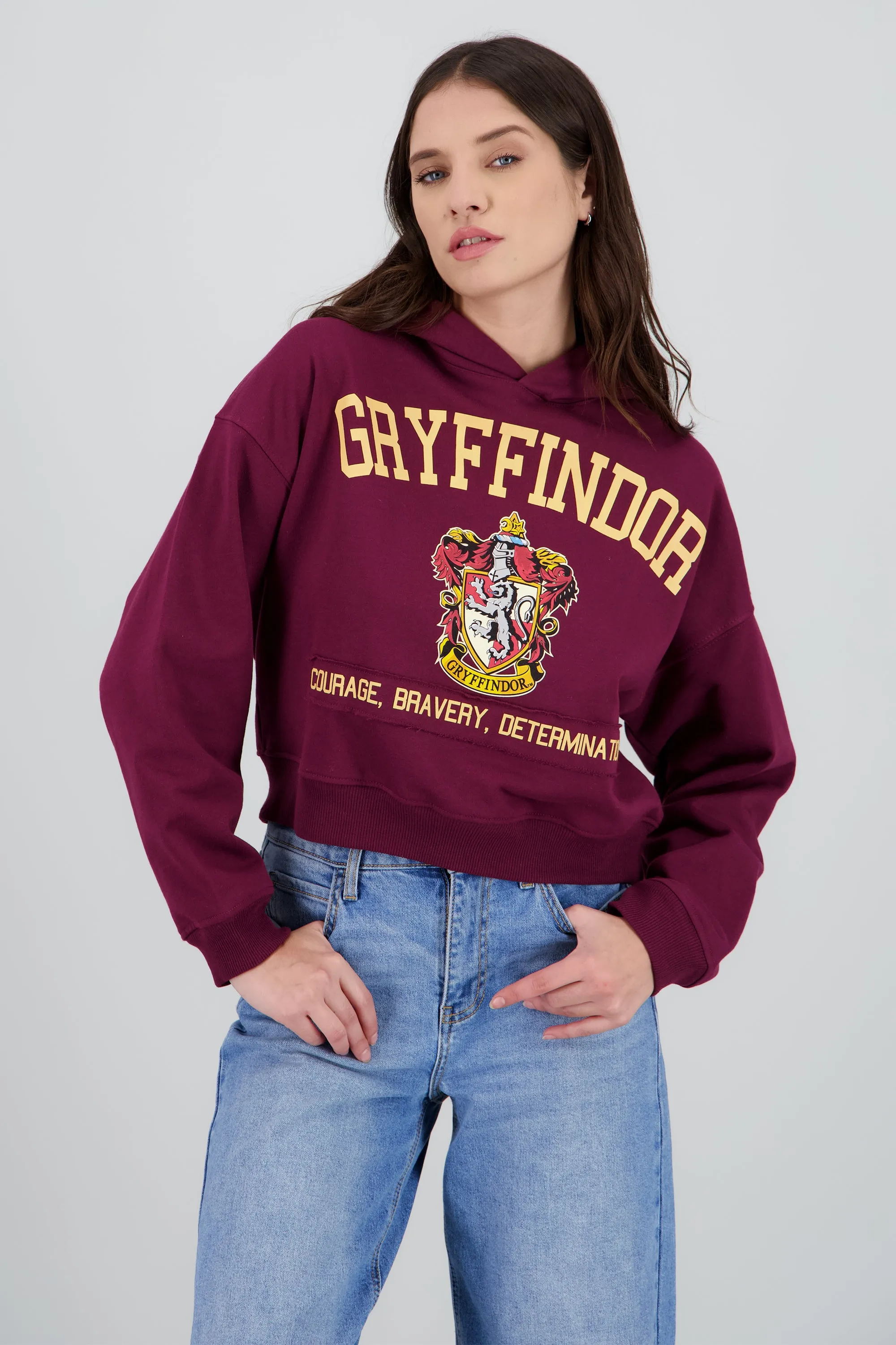Sudadera Gryffindor gorro sold by Shasa