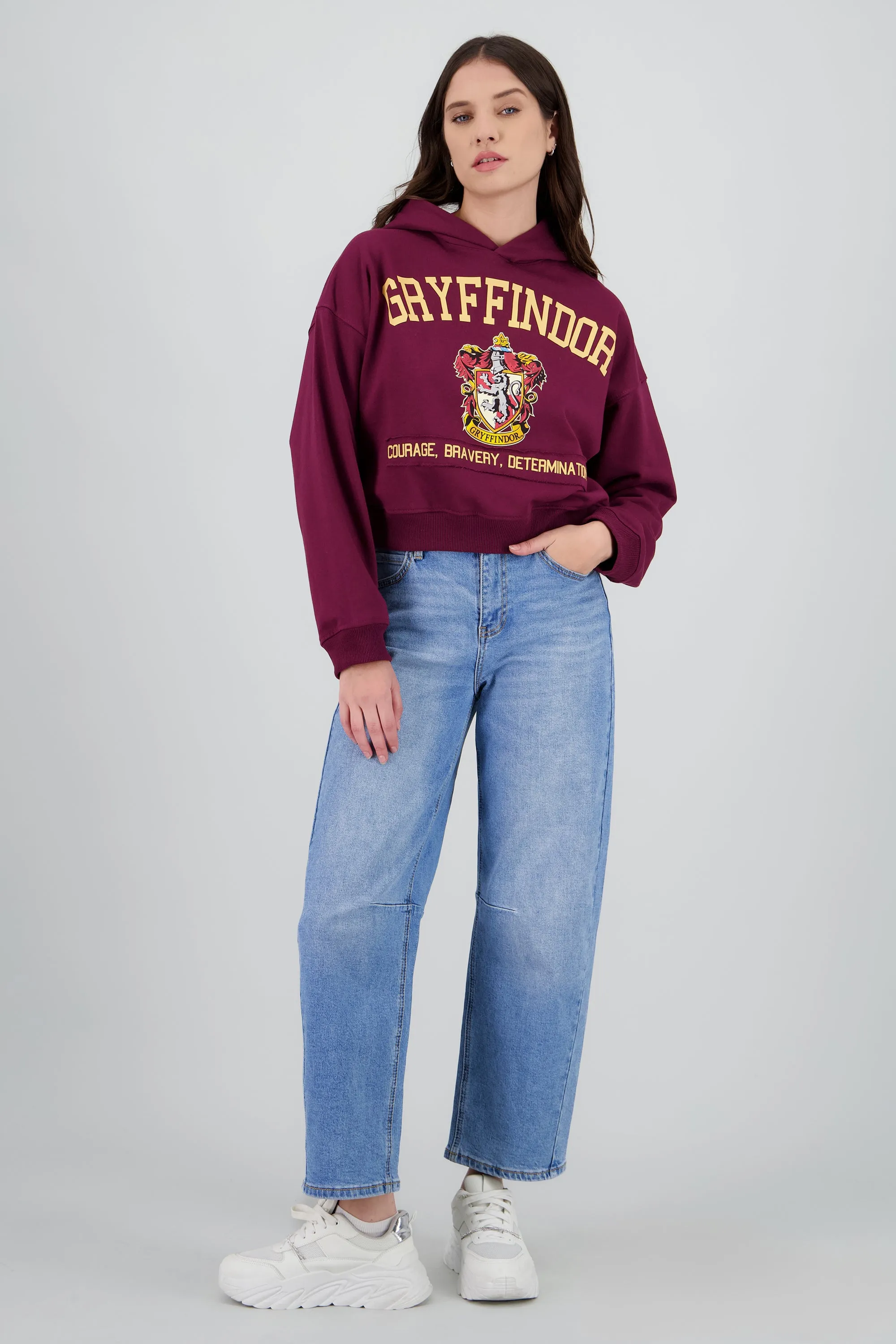 Sudadera Gryffindor gorro sold by Shasa product image thumbnail 2