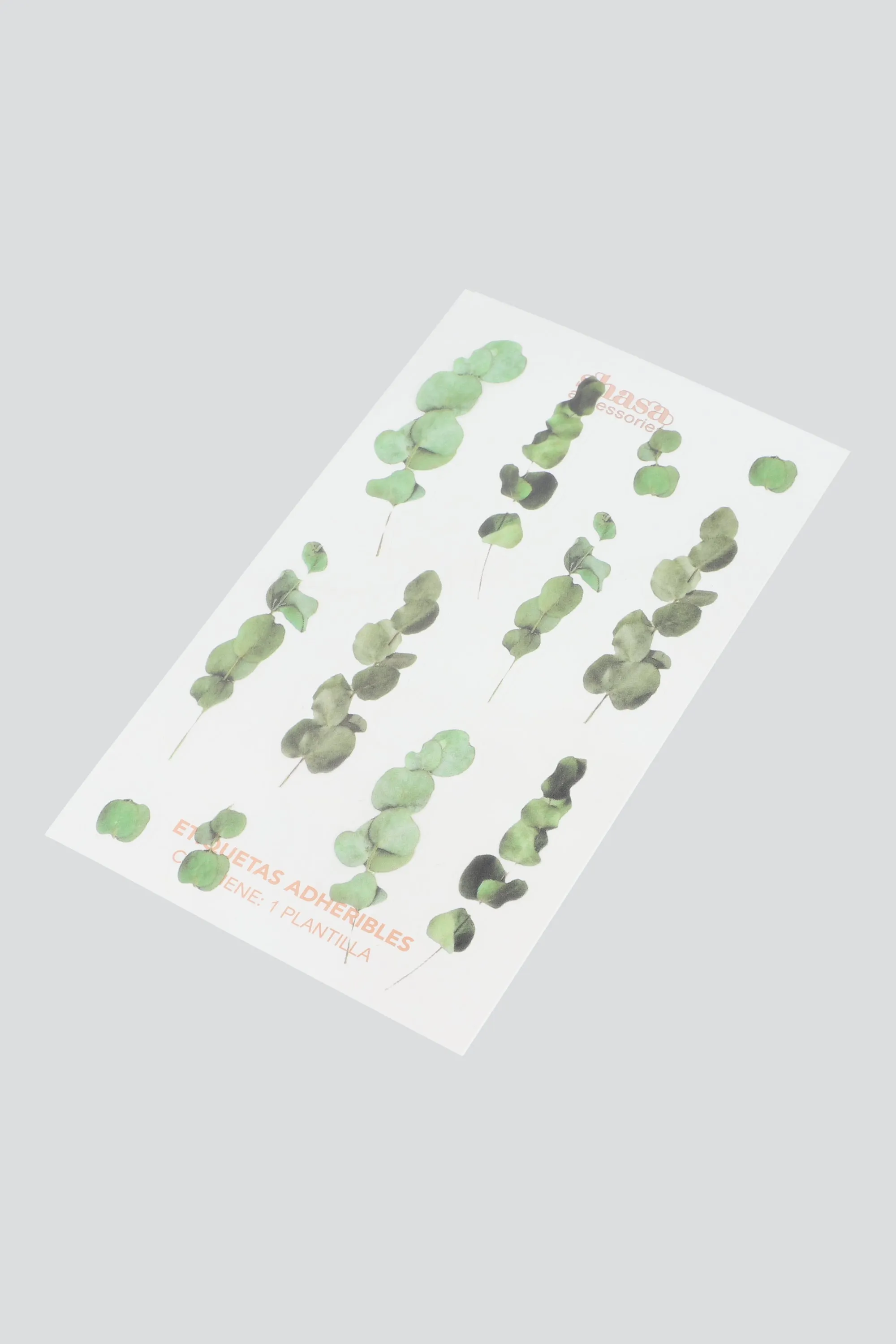Plantilla stickers plantitas acetato sold by Shasa product image thumbnail 2