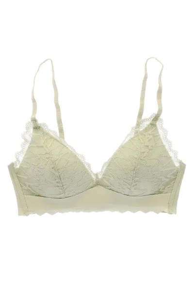 Bra Encaje Bies sold by Shasa
