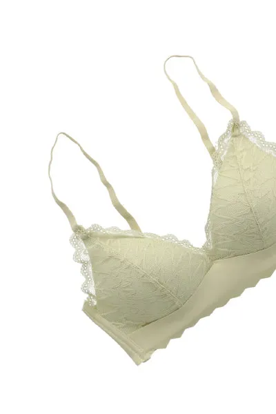 Bra Encaje Bies sold by Shasa product image thumbnail 2