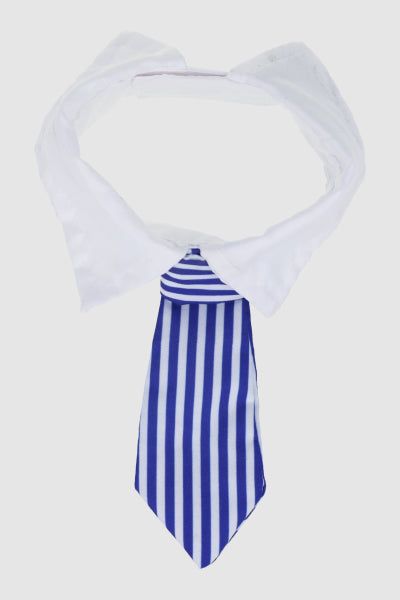 Corbata Para Masocta sold by Shasa product image thumbnail 2