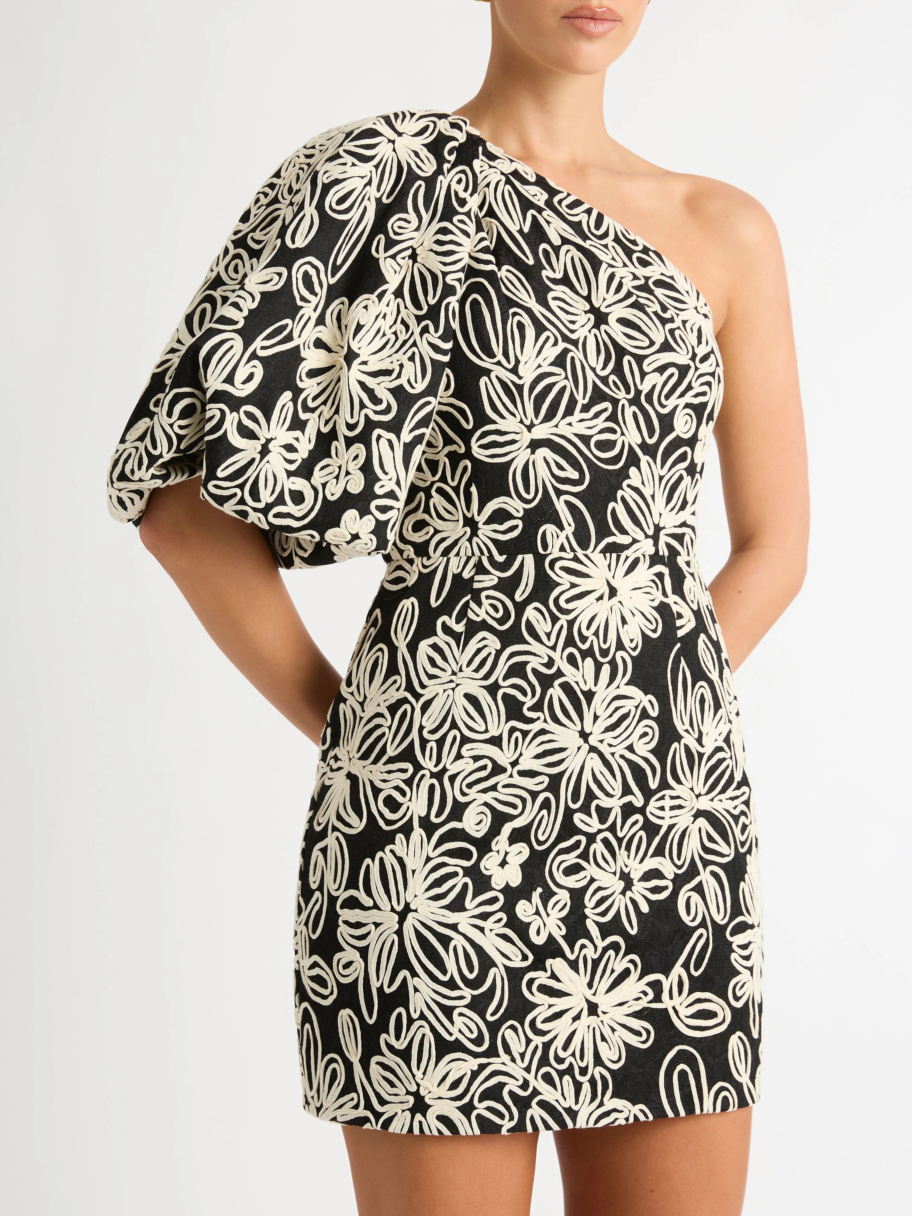 LUISA MINI DRESS sold by Sheike product image thumbnail 3