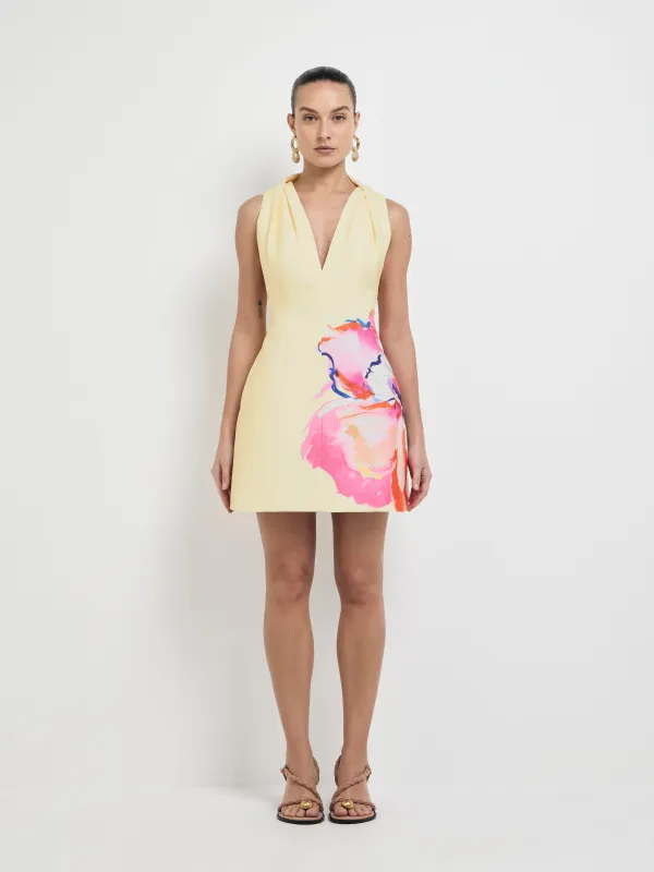 FLEUR BLOOMS MINI DRESS sold by Sheike