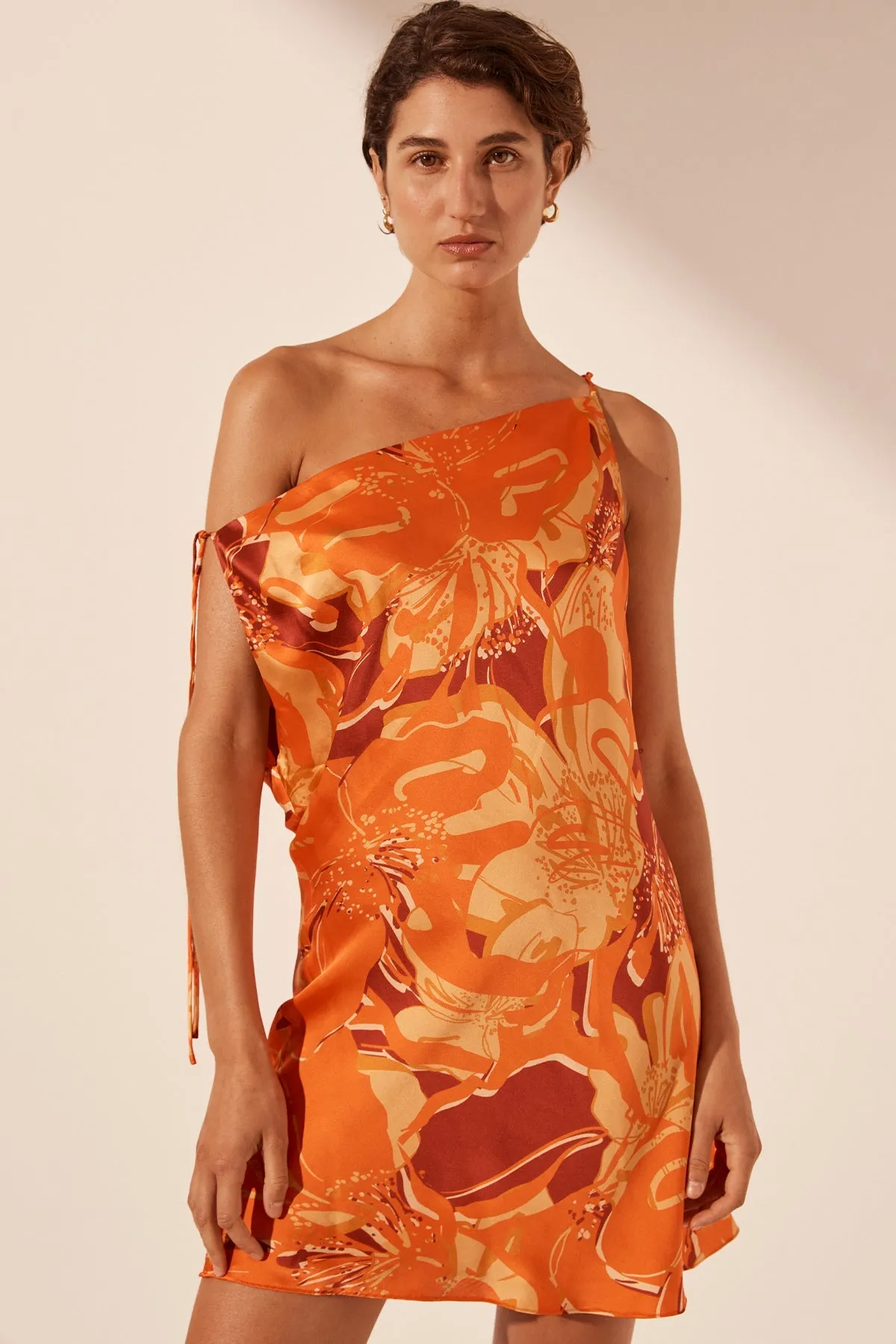 CHARA SILK TIE MINI DRESS sold by Shona Joy product image thumbnail 4