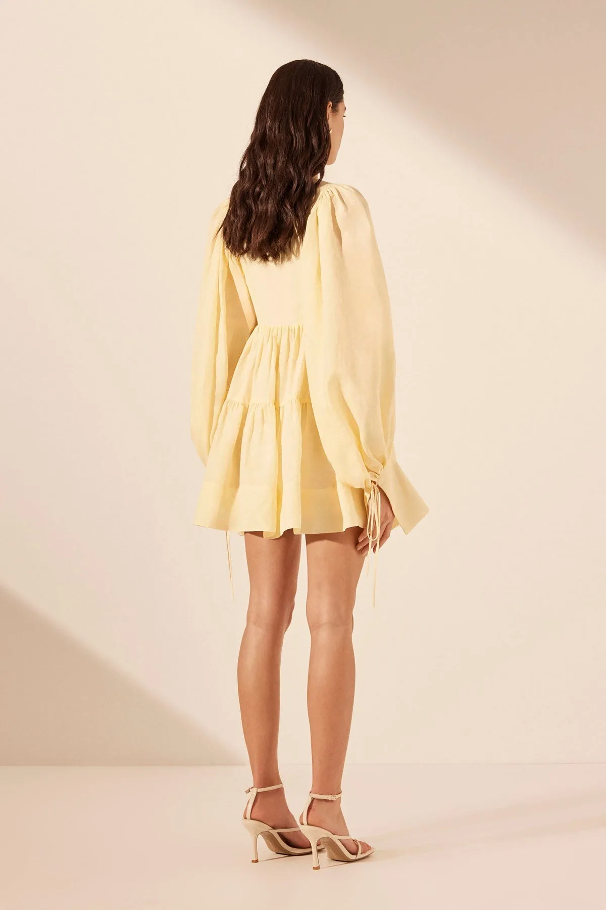 LIMON LONG SLEEVE MINI DRESS sold by Shona Joy product image thumbnail 5